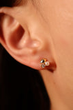 6 Pcs Starfish + Mermaid Tail Earrings Bundle