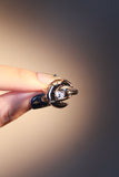 Moon Around Heart Ring