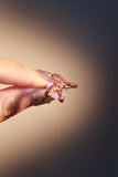 18K Rose Gold Plated Moon Snake Ring