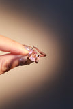 18K Rose Gold Plated Moon Snake Ring