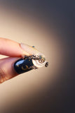 Palladium White Gold Plated Natural Shell Moon Ring