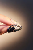 Palladium White Gold Plated Natural Shell Moon Ring