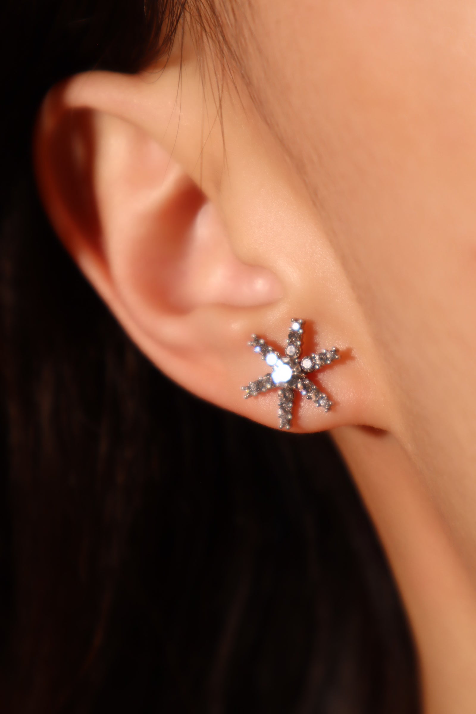 2 in 1 Snowflake Dangle Earrings