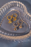 18K Gold Vermeil Sea Shell Earrings